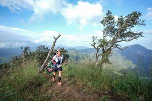 BIB: 
                            <button type="button" onclick="openModal(22373820)" class="btn btn-primary btn-sm float-right btn-popup" data-toggle="modal" data-target=".modal-high-quality">
                        <i class="fas fa-shopping-cart"></i> Add to Cart
                    </button>
                                            <button type="button" onclick="isThisMe(22373820, true)" class="btn btn-success btn-sm float-right btn-popup btn-isme hidden" data-toggle="tooltip" data-placement="bottom" title="นี่คือรูปของคุณใช่ไหม คลิกที่นี่เพื่อเอาเข้าอัลบั้ม">
                        <i class="fas fa-plus"></i> Add to album
                    </button>
                    <button type="button" onclick="isThisMe(22373820, false)" class="btn btn-warning btn-sm float-right btn-popup btn-isnotme hidden">
                        <i class="fas fa-ban"></i> Remove from album
                    </button>